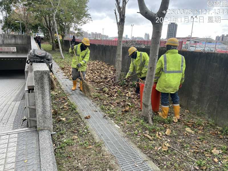 天主教總修道院清理落葉及環境