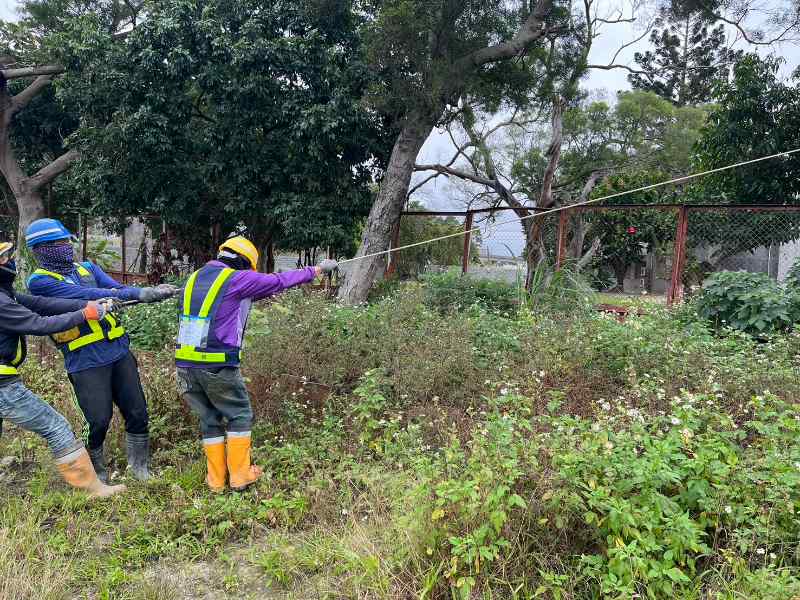 敦親睦鄰-貴子路19號天主堂沙爾德聖保祿修女會院內枯樹鋸除